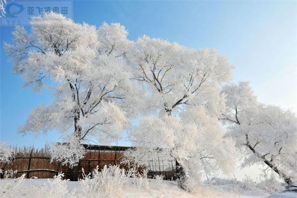 加速推動煤改電鍋爐-鄭州亞飛凌電鍋爐廠家密切關(guān)注動態(tài)